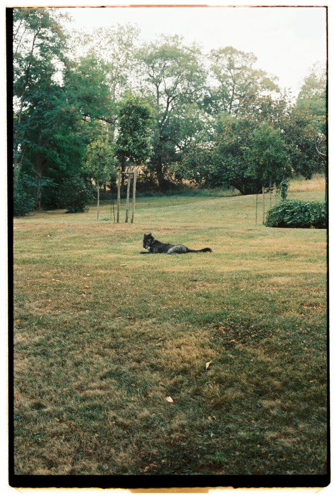 Analog Wedding Europe Misty