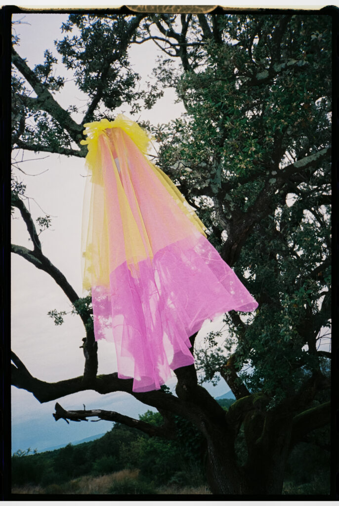 France colorful wedding on 35mm film